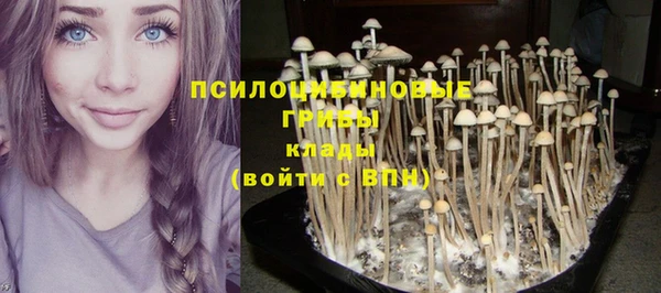 каннабис Армянск